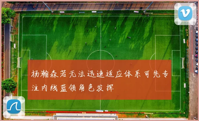 杨瀚森若无法迅速适应体系可先专注内线蓝领角色发挥