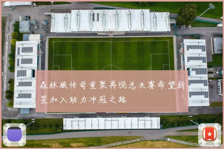 森林狼传奇重聚再现总决赛希望新星加入助力冲冠之路